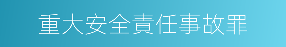 重大安全責任事故罪的同義詞