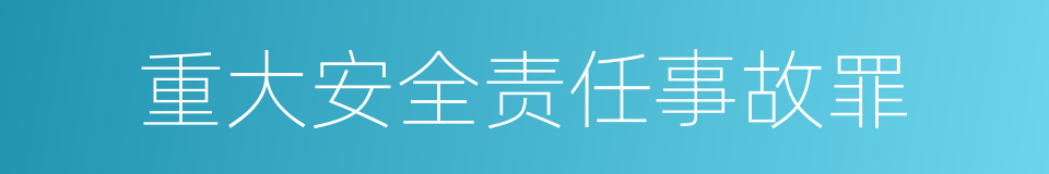 重大安全责任事故罪的同义词