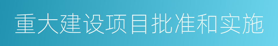 重大建设项目批准和实施的同义词