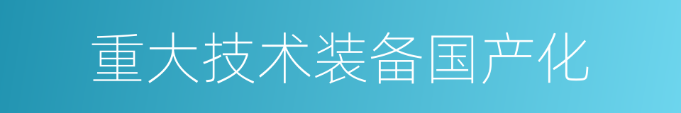 重大技术装备国产化的同义词