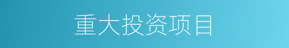 重大投资项目的同义词