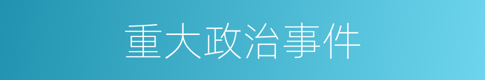 重大政治事件的同义词