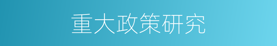 重大政策研究的同义词