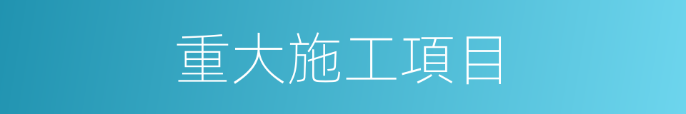 重大施工項目的同義詞