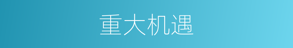 重大机遇的同义词