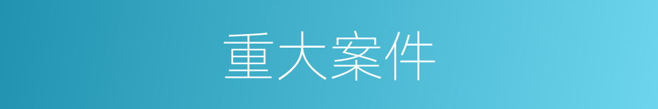 重大案件的同义词