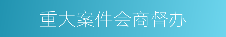 重大案件会商督办的同义词