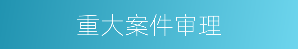 重大案件审理的同义词