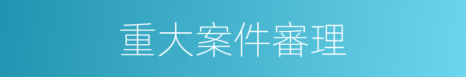 重大案件審理的同義詞