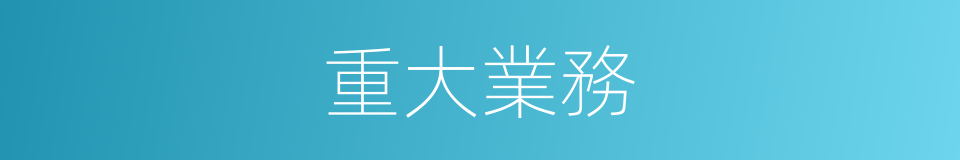 重大業務的同義詞