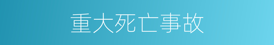 重大死亡事故的同义词