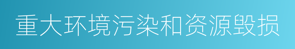 重大环境污染和资源毁损的同义词