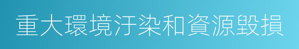 重大環境汙染和資源毀損的同義詞