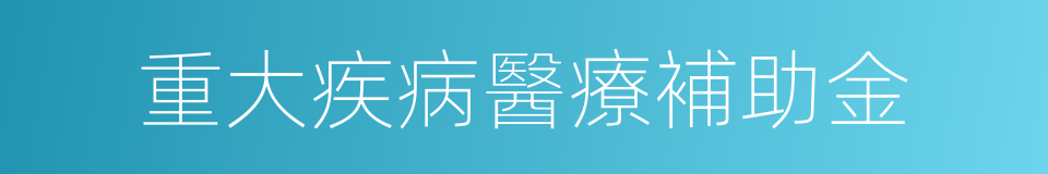 重大疾病醫療補助金的同義詞