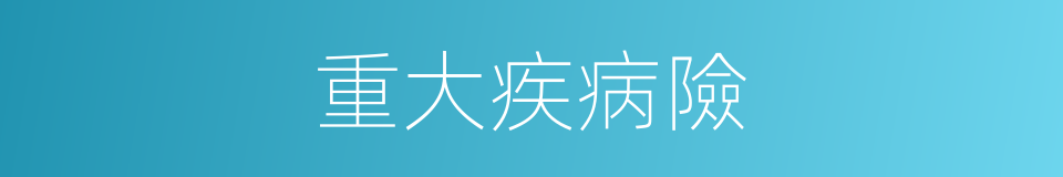 重大疾病險的同義詞
