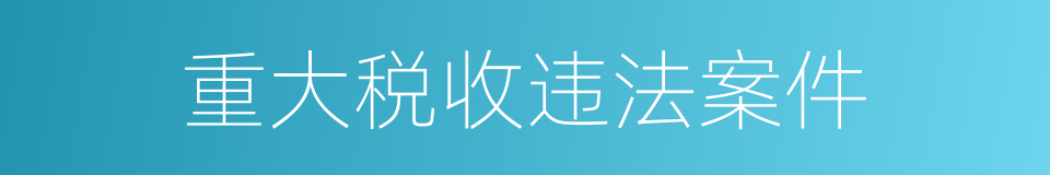重大税收违法案件的同义词