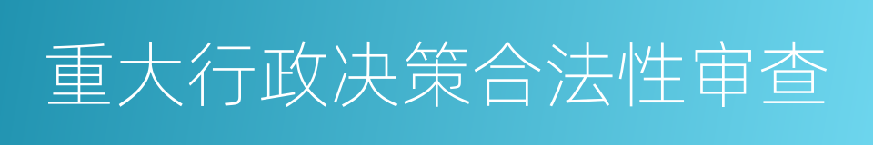 重大行政决策合法性审查的同义词