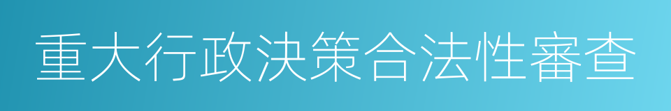 重大行政決策合法性審查的同義詞