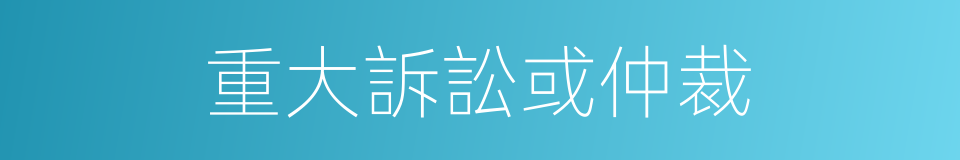 重大訴訟或仲裁的同義詞