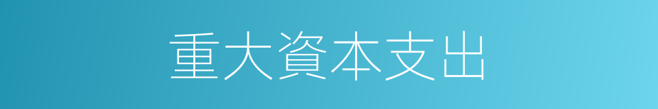 重大資本支出的同義詞