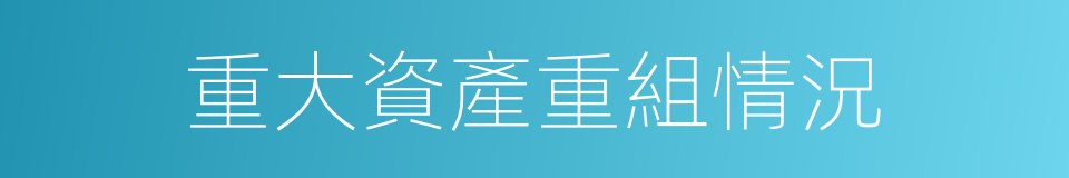 重大資產重組情況的同義詞