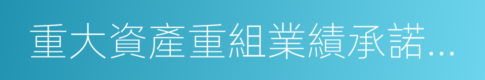 重大資產重組業績承諾實現情況的說明的同義詞