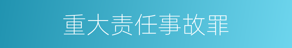 重大责任事故罪的同义词