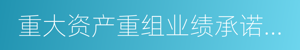 重大资产重组业绩承诺实现情况的说明的同义词