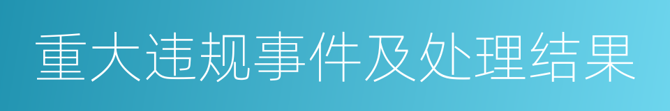 重大违规事件及处理结果的同义词