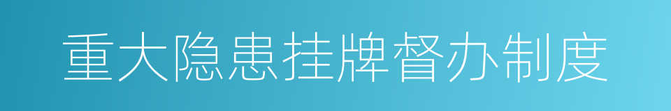 重大隐患挂牌督办制度的同义词