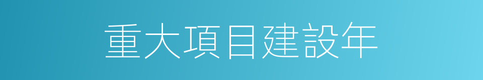 重大項目建設年的同義詞