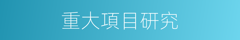重大項目研究的同義詞