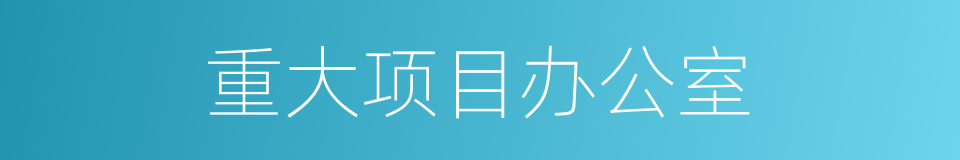 重大项目办公室的同义词