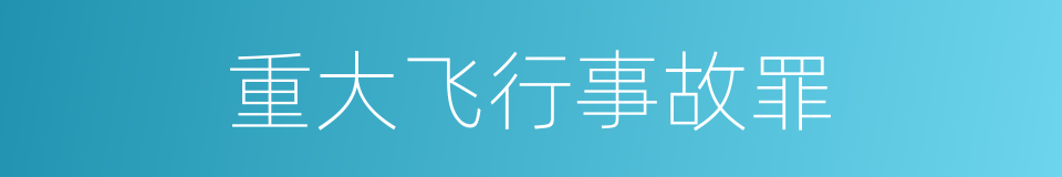 重大飞行事故罪的同义词