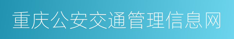 重庆公安交通管理信息网的同义词