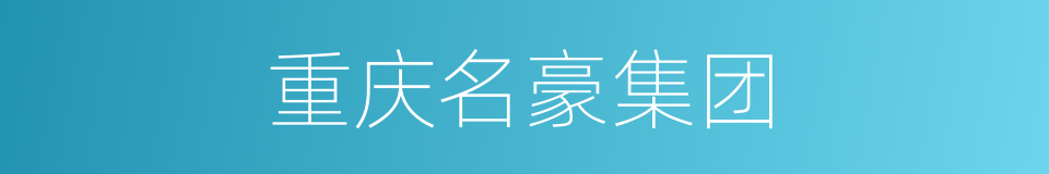 重庆名豪集团的同义词