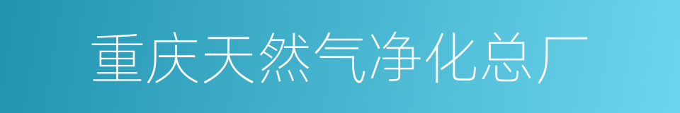 重庆天然气净化总厂的同义词