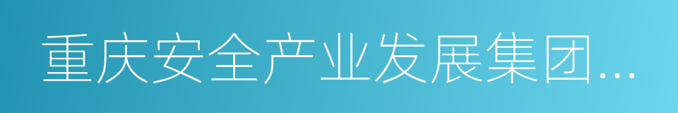 重庆安全产业发展集团有限公司的同义词