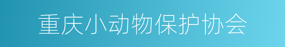 重庆小动物保护协会的同义词