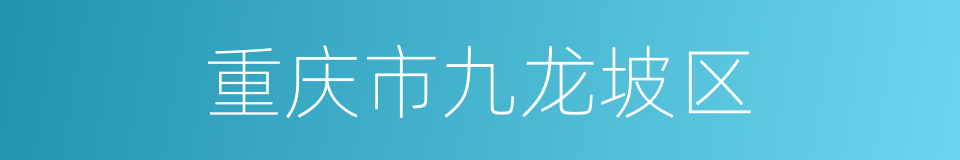 重庆市九龙坡区的同义词