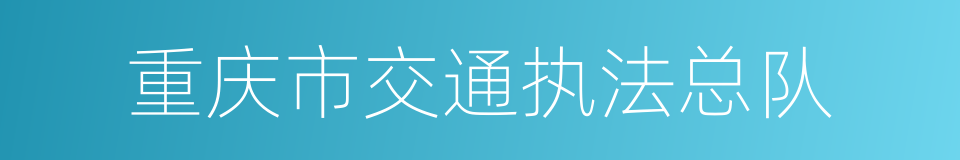 重庆市交通执法总队的同义词