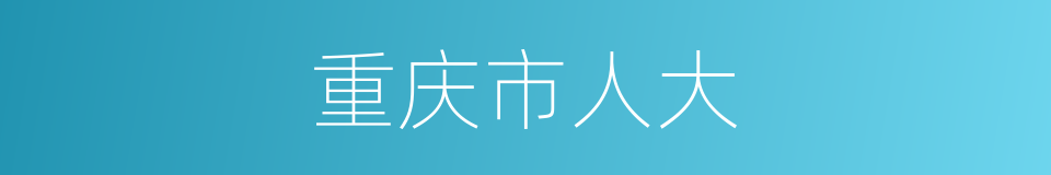 重庆市人大的同义词