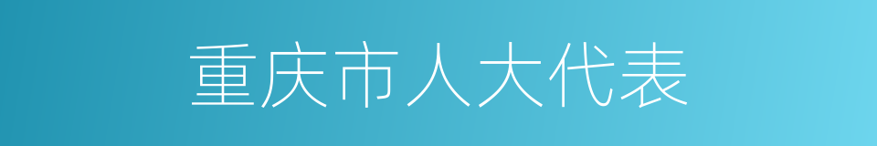 重庆市人大代表的同义词