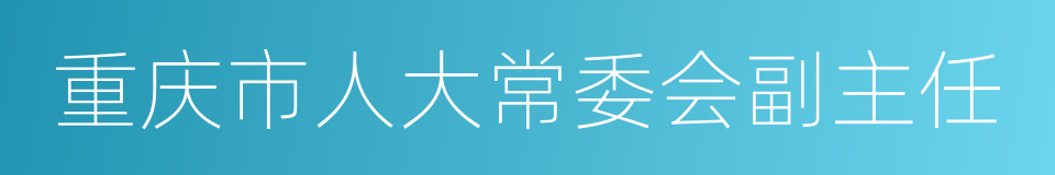 重庆市人大常委会副主任的同义词