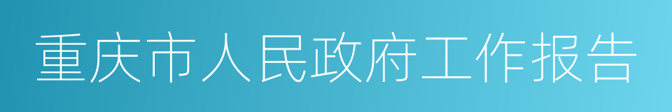 重庆市人民政府工作报告的同义词