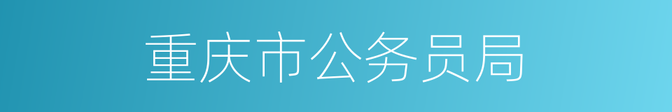 重庆市公务员局的同义词