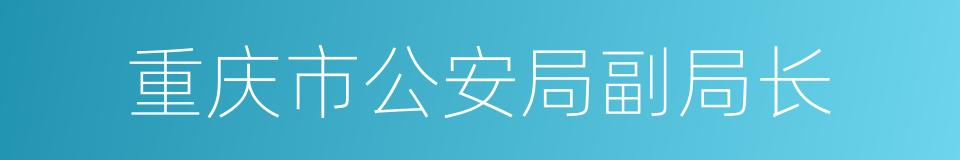 重庆市公安局副局长的同义词