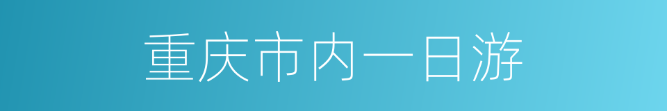 重庆市内一日游的同义词