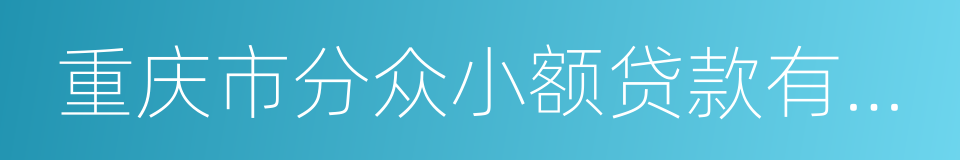 重庆市分众小额贷款有限公司的同义词