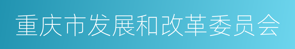 重庆市发展和改革委员会的同义词